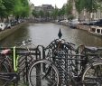 Amsterdam Gezi Rehberi