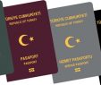 Pasaport Nasıl Alınır