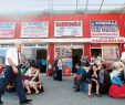 YURTDIŞINA GİDEN OTOBÜS FİRMALARI