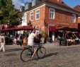 Potsdam Gezi Rehberi