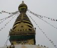 Nepal Vizesi