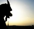 Paris Gezi Rehberi