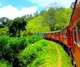 Interrail Bilet Türleri