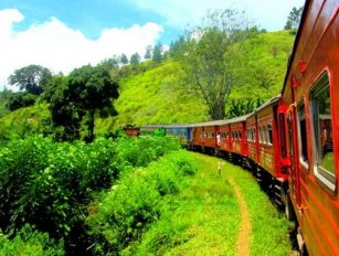 Interrail Bilet Türleri