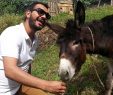Şirince Gezi Rehberi