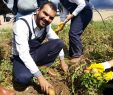 Pepsico ile Kayseri’de Hasat, Ürgüp’te Gezi