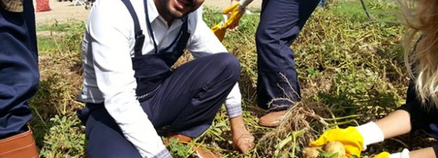 Pepsico ile Kayseri’de Hasat, Ürgüp’te Gezi