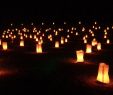 Petra By Night Turu