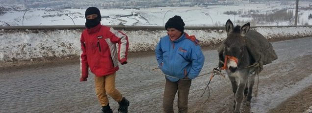 Erzurum Gezi Rehberi