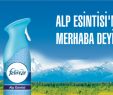 Alp Esintisine Merhaba Deyin