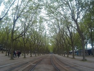 Bordeaux Gezi Rehberi