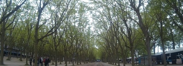 Bordeaux Gezi Rehberi