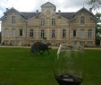 Bordeaux Şarabı St. Emilion & Medoc Şarap Turu