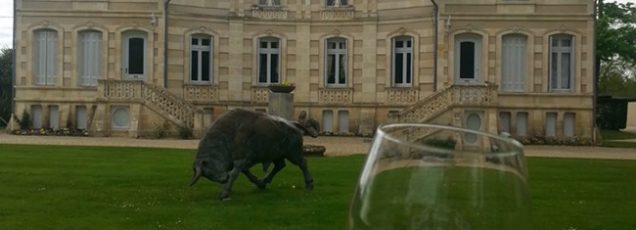 Bordeaux Şarabı St. Emilion & Medoc Şarap Turu