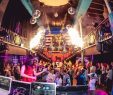 Varşova Gece Hayatı