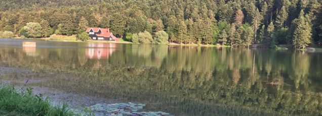 Bolu’nun Cennetleri, Bolu Turları
