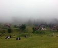 Ayder Gezi Rehberi