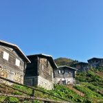 Hazindak Yaylası