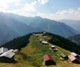 Pokut Yaylası