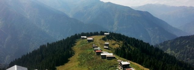 Pokut Yaylası