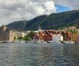 Bergen Gezi Rehberi
