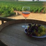 Pamukkale Harvest 2016’nın başındaydık
