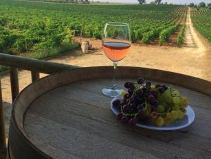 Pamukkale Harvest 2016’nın başındaydık